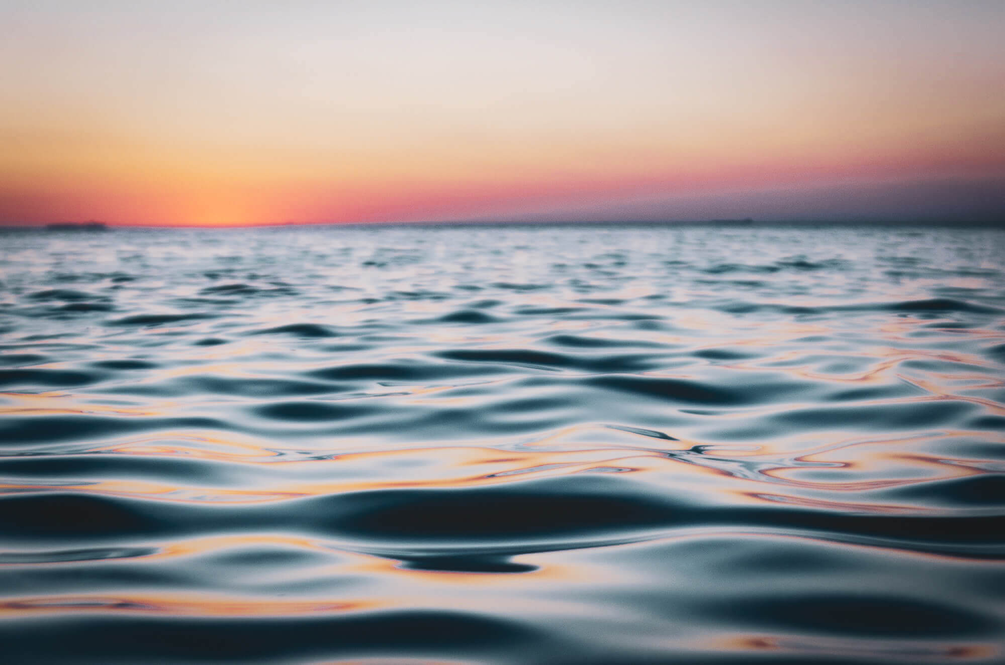 Cove 1% for the Planet - 1% for the Planet Cove 1% for the Planet - 1% for the Planet